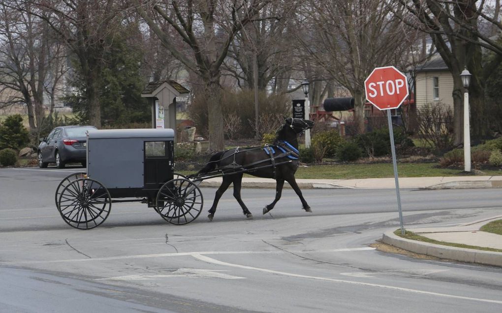 De Amish leven in de Amerikaanse staten Ohio en Pennsylvania nagenoeg in afzondering. beeld Riekelt Pasterkamp