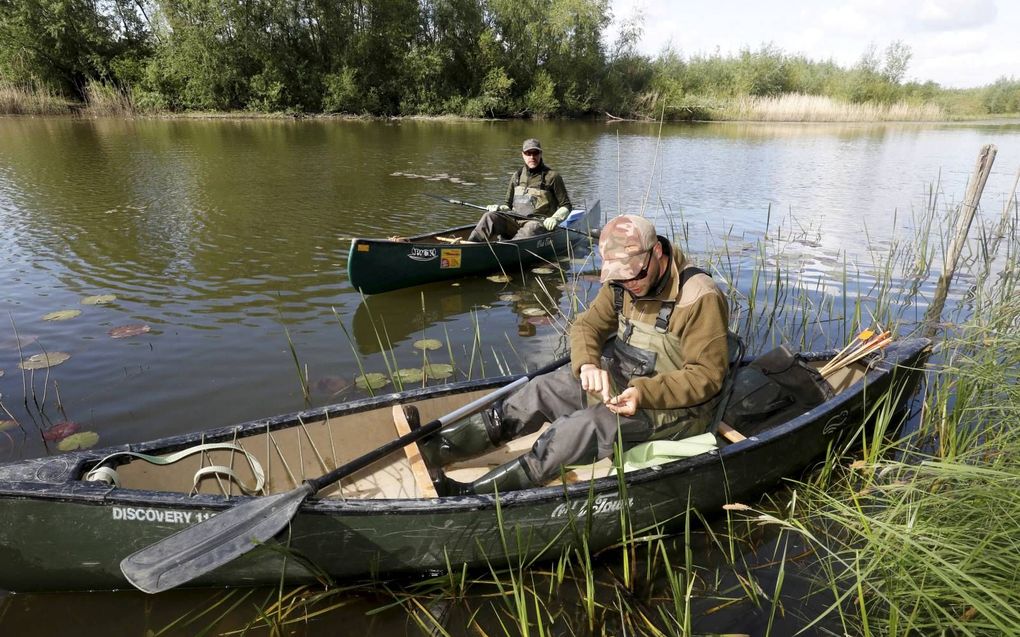 Muskus- en beverratten kunnen door hun graafgedrag de rivierdijken ondermijnen. Daarom hebben de waterschappen rattenvangers in dienst, zoals Martin van Tongeren (l.) en Nick van Binsbergen. Na jaren van bestrijding is de populatie van de knaagdieren fors