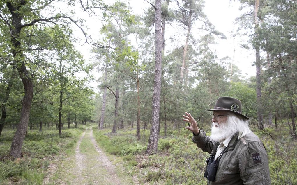 beeld RD, Anton Dommerholt
