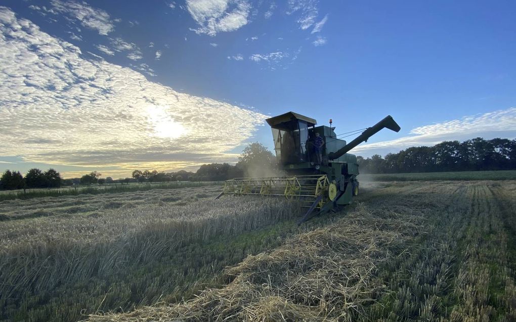 Een combine oogst woensdagavond gerst in de buurt van Terschuur (Gelderland). beeld fam. Geytenbeek