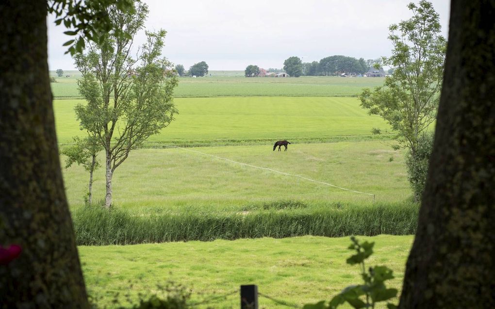 De terp van Hogebeintum biedt uitzicht op de Waddenzee.