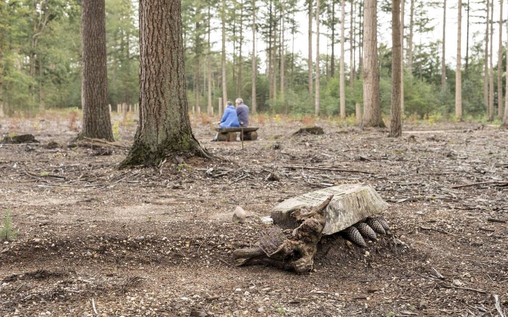 ‘Grafzerk’ uit november 2019 op de natuurbegraafplaats bij Elspeet die deze vrijdag officieel is geopend. beeld André Dorst