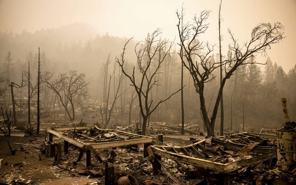 Sinds 1980 is het aantal geregistreerde natuurrampen meer dan verdubbeld. Foto: de overblijfselen van een ranch in Californië nadat er een verwoestende bosbrand overheen trok. beeld AFP, Samuel Corum