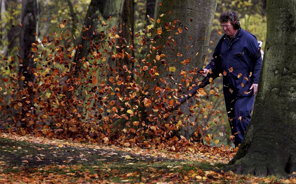 Bladblazen zou in Nederland verboden moeten worden, vindt IVN Natuureducatie. beeld ANP, beeld Olaf Kraak