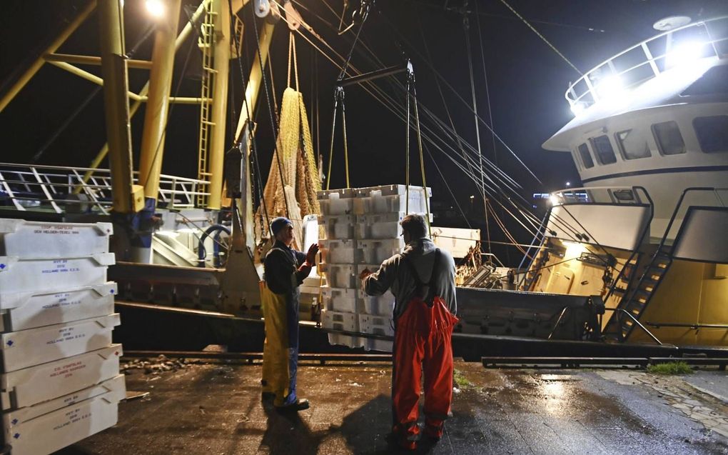 Vissers lossen hun vangst. De visserijketen vraagt onderzoek naar de sociaal-economische impact van een krimpende sector.   beeld ANP, Olaf Kraak