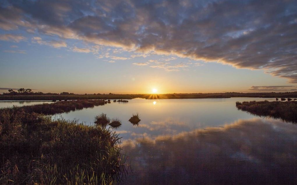 Vroeger één groot moeras en nu weer: De Onlanden op de provinciegrens van Drenthe en Groningen. beeld Natuurmonumenten