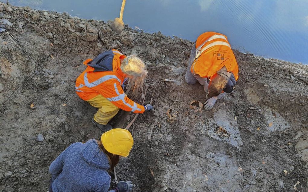 Bij het opengraven van een stuk gedempte gracht zijn in Vianen al twintig menselijke skeletten gevonden. Het lijkt te gaan om een massagraf dat eeuwen geleden buiten het terrein van het voormalige kasteel Batenstein werd ingericht.