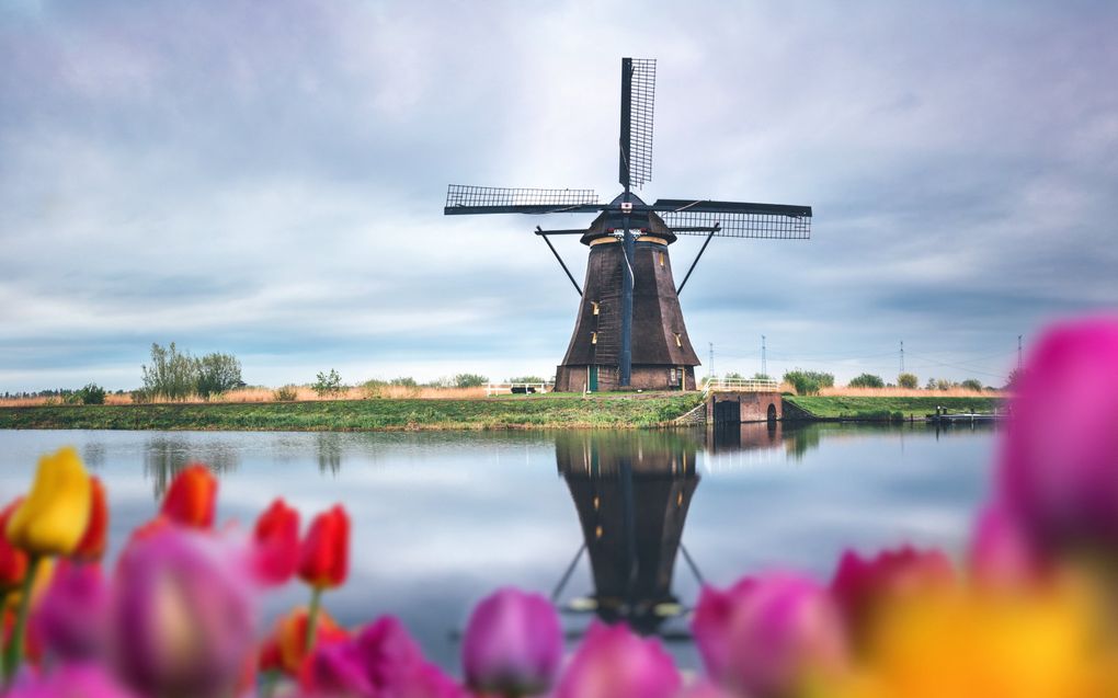 De molens van Kinderdijk staan op de werelderfgoedlijst van Unesco. beeld iStock