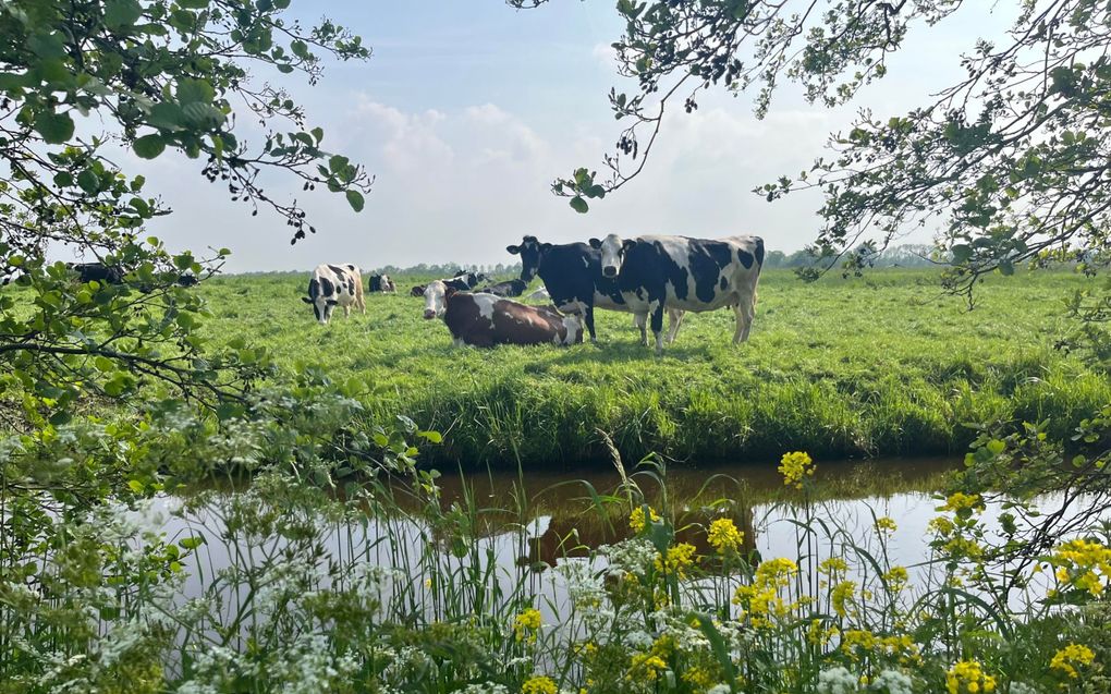 Doorkijkje. beeld RD