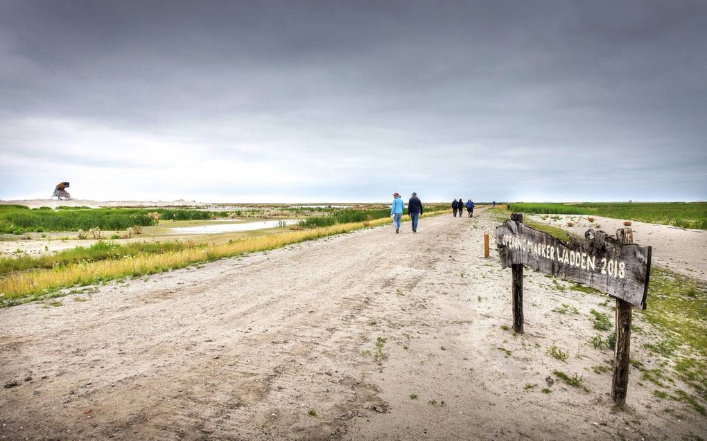 Voetpad op Marker Wadden. beeld RD, Henk Visscher