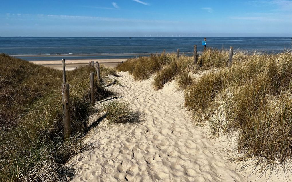 Struinen door duinen tussen Castricum en Wijk aan Zee