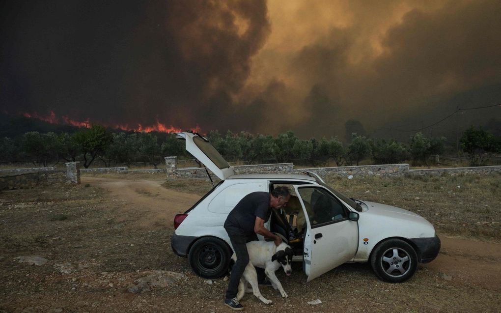 Bosbranden Houden Aan In Griekenland, Ook Bosbrand Op Rhodos