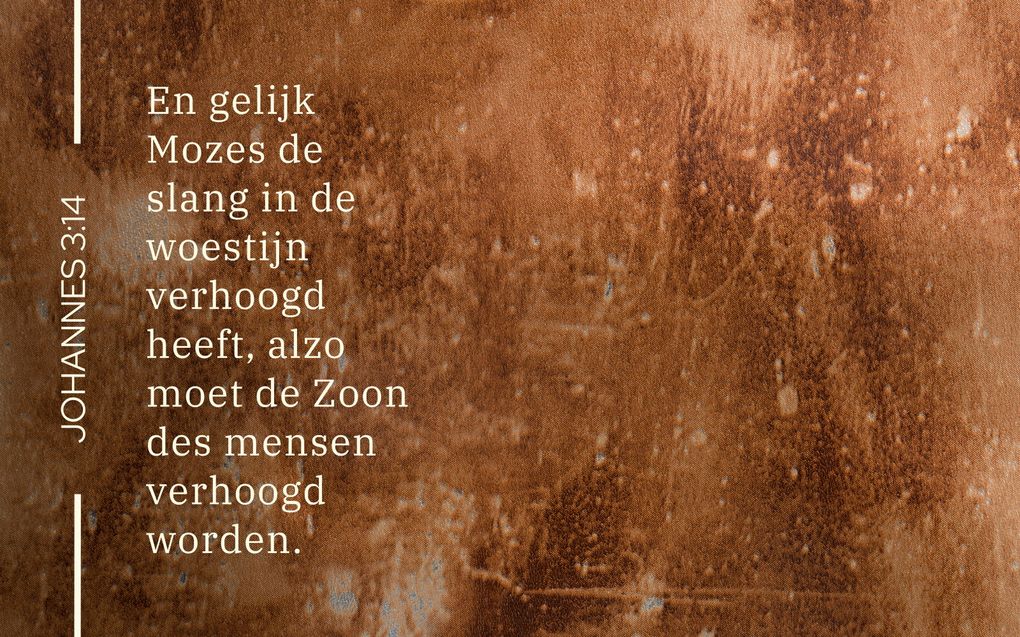 Meditatie De Verhoogde Slang