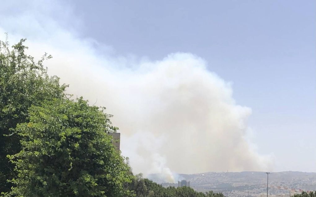 Natuurbrand in de heuvels rond Jeruzalem. beeld Alfred Muller