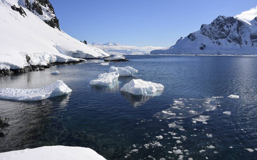 „De opwarming van de aarde gaat steeds harder, het ijs op de poolkappen smelt steeds sneller.” Foto: Antarctica. beeld AFP, Johan Ordonez