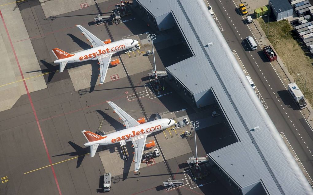 Vliegtuigen van Easyjet aan de gate op luchthaven Schiphol. De luchtvaartmaatschappij merkt dat er minder tickets worden verkocht vanwege de nieuwe coronavariant. beeld ANP, Peter Bakker
