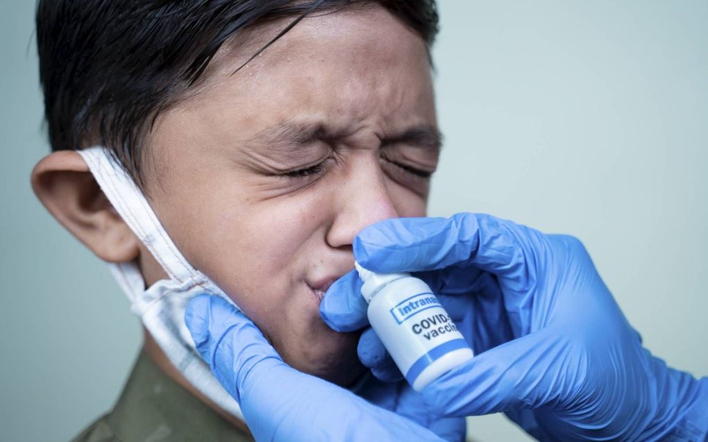 Een enkel snufje van een nieuwe neusspray lijkt voldoende om mensen via de neus te vaccineren. beeld iStock