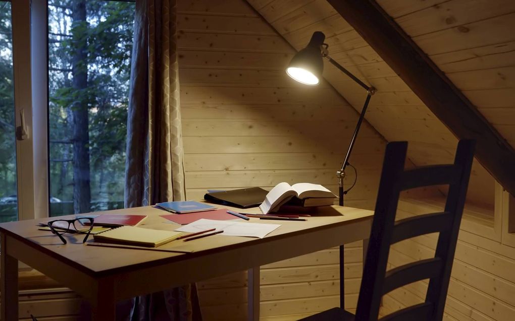vertaler ondergeschoven kindje in de literatuur