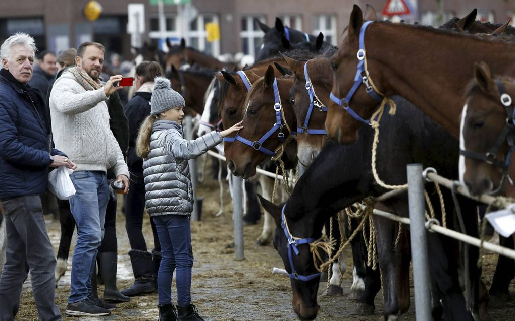 Paardenmarkt Hedel viert 300e editie