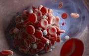 Onderzoekers van het Maastricht UMC hebben twee experimentele geneesmiddelen in handen die bloedstolsels bij coronapatiënten kunnen voorkomen en zo levens kunnen redden. beeld iStock