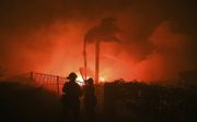 Bosbranden in het zuidoosten van de VS waren vorig jaar heviger dan ooit. De schade liep op tot zo’n 16 miljard dollar. beeld AFP, Robyn Beck