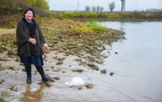 Hanneke Siebelink maakt kleding van plastic uit de IJssel. beeld Hanneke Siebelink