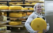 Kirsten de Jongh is opgegroeid in een rijtjeshuis maar runt nu een kaasboerderij die de ene na de andere prijs wint. beeld Theo Haerkens