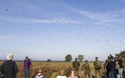 De luchtmacht moet het droppen van parachutisten en ladingen oefenen. Foto: landing van honderden parachutisten op het Houtdorperveld bij Ermelo. beeld RD Anton Dommerholt