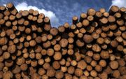De Europese consumentenorganisatie BEUC vindt het misleidend dat houtkap en bio-energie in nieuwe regels van de Europese Commissie een groen stempel krijgen. beeld AFP, Joël Saget