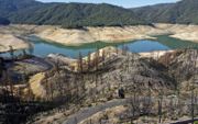 Recent afgebrande bomen in Californië, een van de Amerikaanse staten die zuchten onder droogte.  beeld AFP, Justin Sullivan