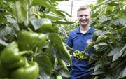 Auke Bos verricht verschillende werkzaamheden in de tomatenkassen van zijn werkgever in IJsselmuiden. beeld RD, Anton Dommerholt