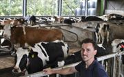 Peter van Rossum is niet tevreden over de opbrengst van de melk en pakte daarom als Boer Peter de vleesproductie op. beeld Theo Haerkens