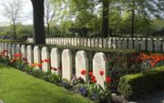 Graven op de Grebbeberg, een van de erevelden die de Oorlogsgravenstichting beheert. beeld RD