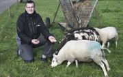 Met zijn idee om wol te gebruiken als bodemverbeteraar won Van Dalfsen een Ermelose duurzaamheidsprijs.  beeld Theo Haerkens