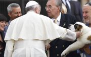 Paus aait hond.  beeld AFP, Alberto Pizzoli