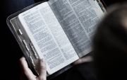 Noorse Bijbels spreken –net als de Nederlandse– over ”Joden” waar het gaat om ”Judeeërs”. Volgens de theoloog dr. Gunnar Haaland kunnen antisemieten die vertaling misbruiken.  beeld Getty Images