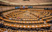 Het Europees Parlement in Brussel bijeen. beeld DPA, Michael Kappeler