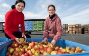Oksana Tymoshenko (l.) en haar dochter Daria sorteren fruit bij een groot bedrijf in de Betuwe. Ze zijn blij dat ze in Nederland aan het werk kunnen. beeld William Hoogteijling