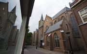 Jacobikerk in Utrecht. beeld ANP, Frank van Beek