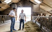 Premier Mark Rutte had maandag een tweede gesprek met boeren over stikstof, deze keer in het Limburgse Keplen-Oler. Foto: veehouder Thieu Bongers (r.) leidt de premier rond in zijn stal. beeld ANP, Sem van der Wal