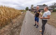 Boer Erwin Nijrolder bekijkt samen met zijn buurman de kurkdroge maïs. beeld APA Foto, Sjef Prins