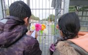 Bij het hek van Detentiecentrum Zeist laten kinderen een teken van meeleven achter voor Anisa en haar ouders die daar op dat moment verblijven. beeld familie Buitenhuis
