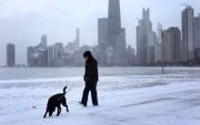 Chicago. beeld AFP, Scott Olson