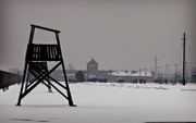 Kamp Auschwitz. beeld EMG