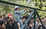 „De Hongaarse weigering om vluchtelingen op te nemen, lijkt rechts-nationalistisch gefundeerd en weinig of niets met christelijke waarden te maken te hebben.” beeld ANP, Arie Kievit