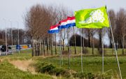 Langs de A58 in Goes zijn Nederlandse vlaggen goed opgehangen na de overwinning van de BoerBurgerBeweging (BBB) tijdens de Provinciale Statenverkiezingen. beeld ANP, JEFFREY GROENEWEG