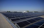„Van alle groene stroom die we in 2030 willen opwekken, kan 14 procent worden behaald door bedrijfsdaken vol te leggen met zonnepanelen.” beeld ANP, Robin van Lonkhuijsen