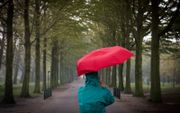 beeld ANP, ROOS KOOLE
