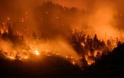 Een bosbrand in Zwitserland. beeld EPA