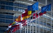 „In het Verdrag van Lissabon (2007) staat dat de EU de nationale identiteit van de lidstaten moet eerbiedigen.” Foto: nationale vlaggen voor het gebouw van het Europees Parlement in Straatsburg. beeld ANP, Lex van Lieshout